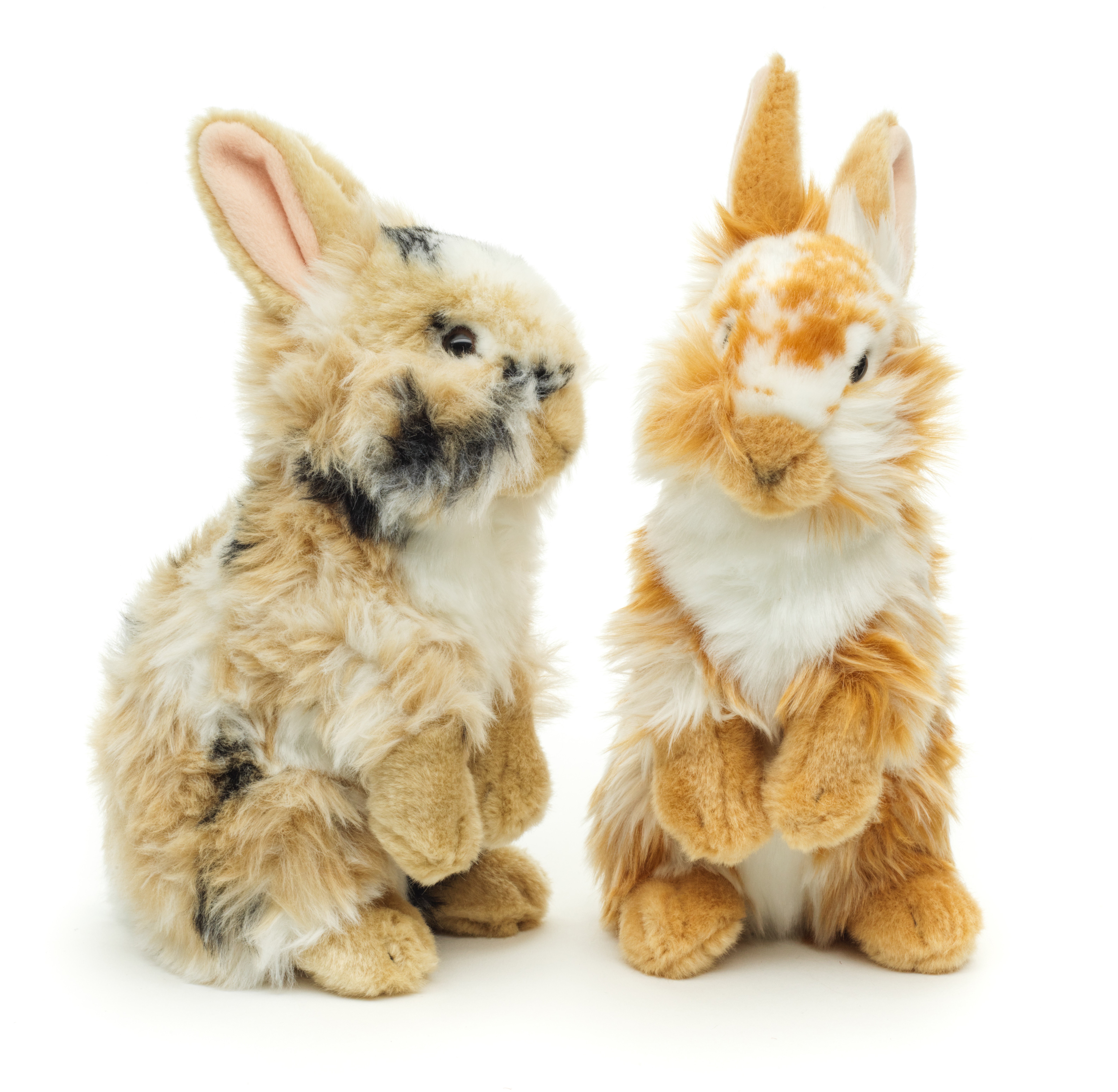 Lion head rabbit, standing - With perked up ears - 23 cm (height) 