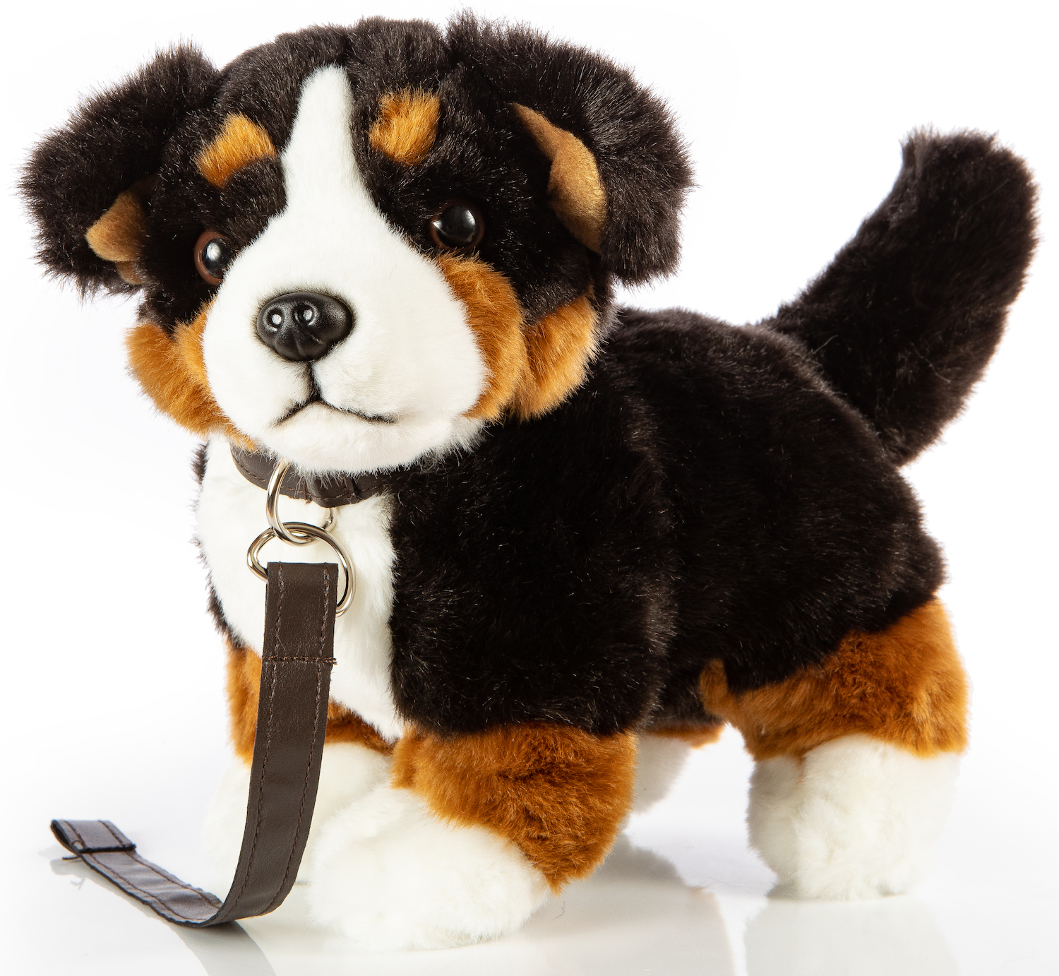 Bernese Mountain Dog, standing, with lead - 27 cm (length)