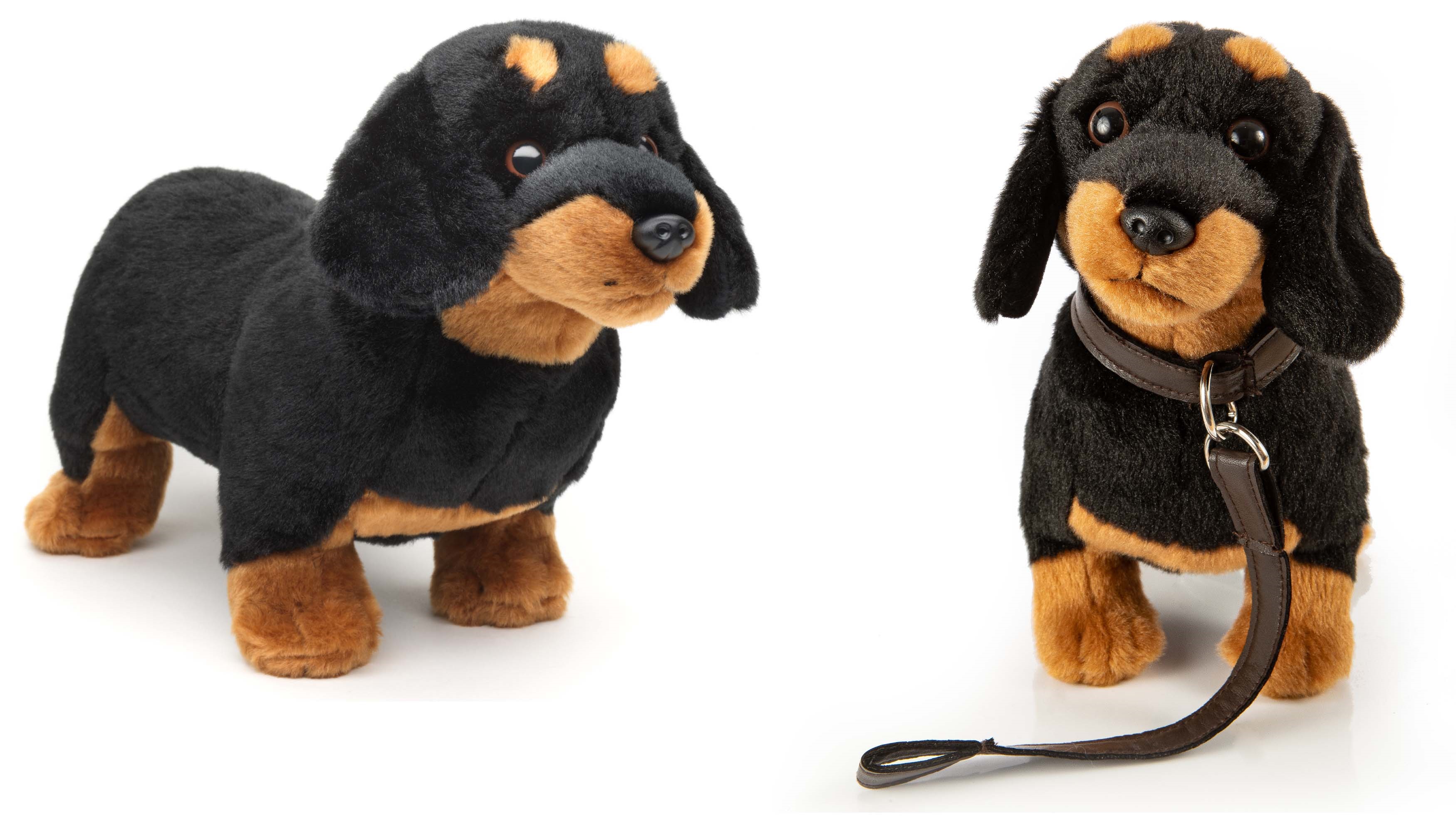 Dachshund, standing (with leash OR without leash) - 28 cm (length)  