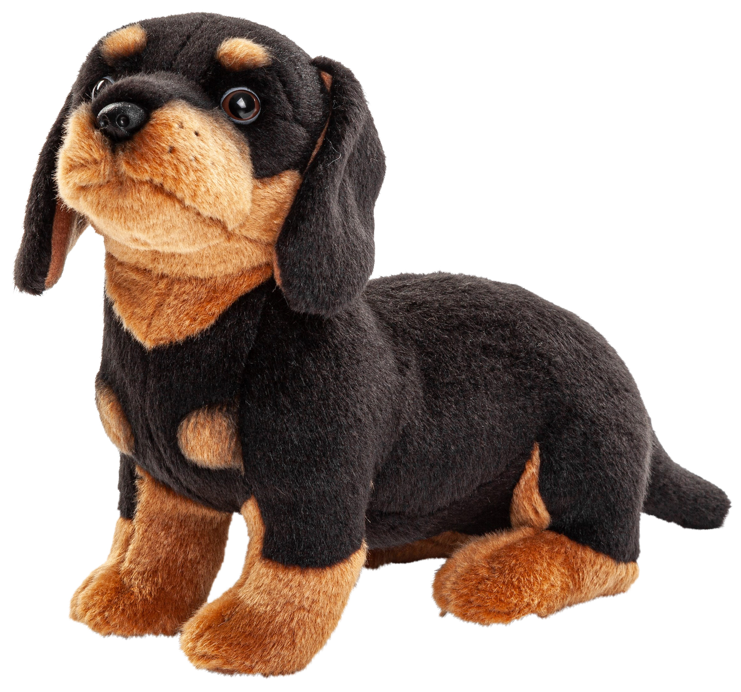 Dachshund (without leash OR with leash) - 27 cm (length)