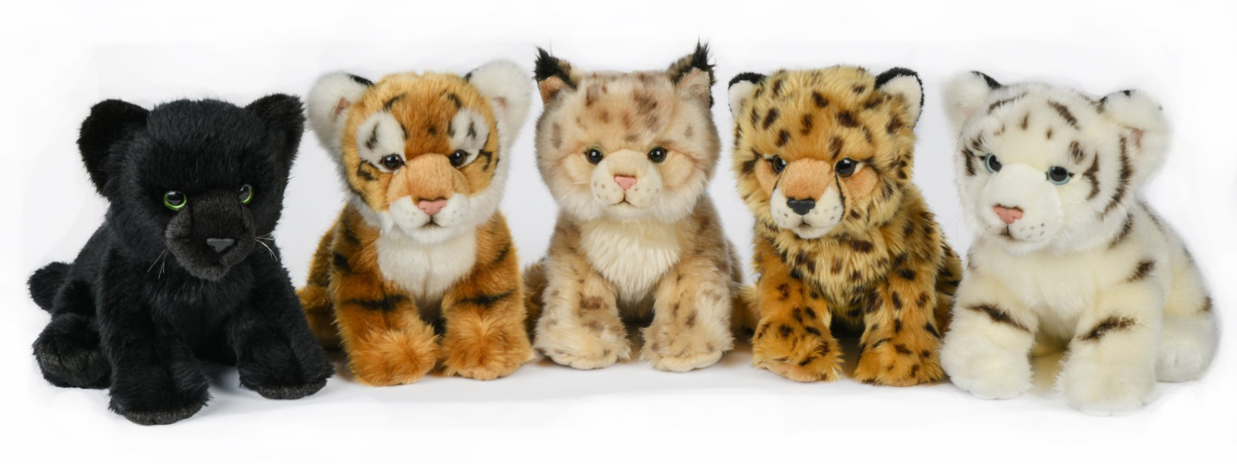 Cheetah, lynx, panther, Tiger, sitting