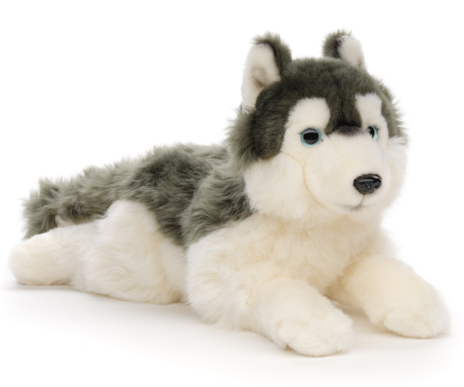 Husky grey, lying - 38 cm (length)