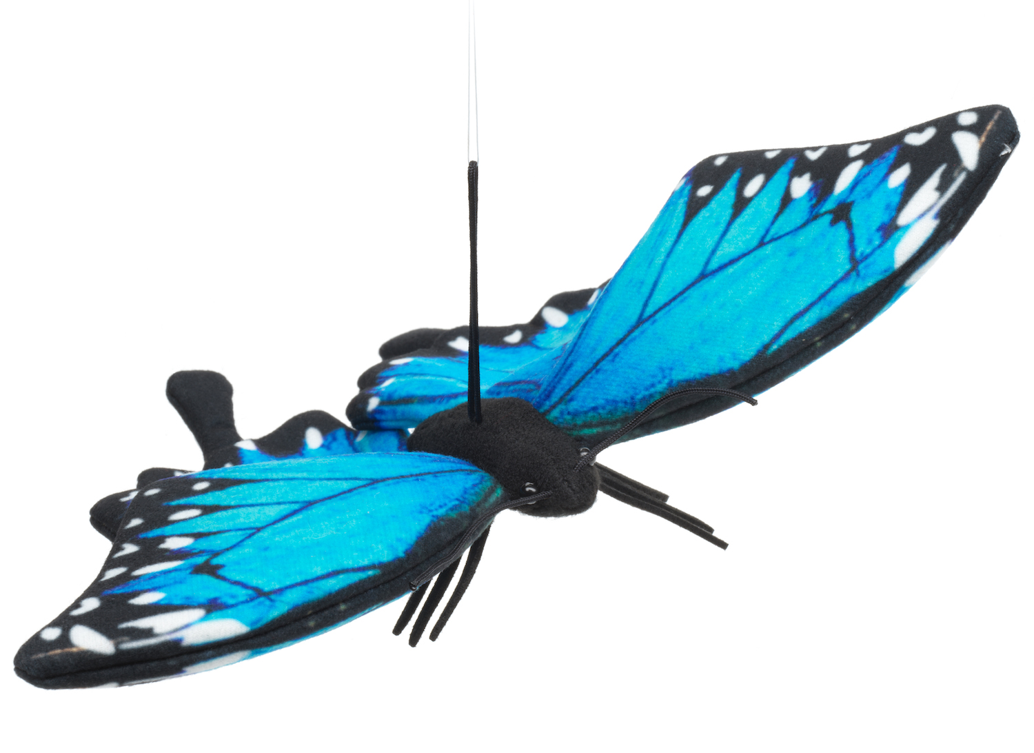 Butterfly blue (with loop) -  26 cm (width)