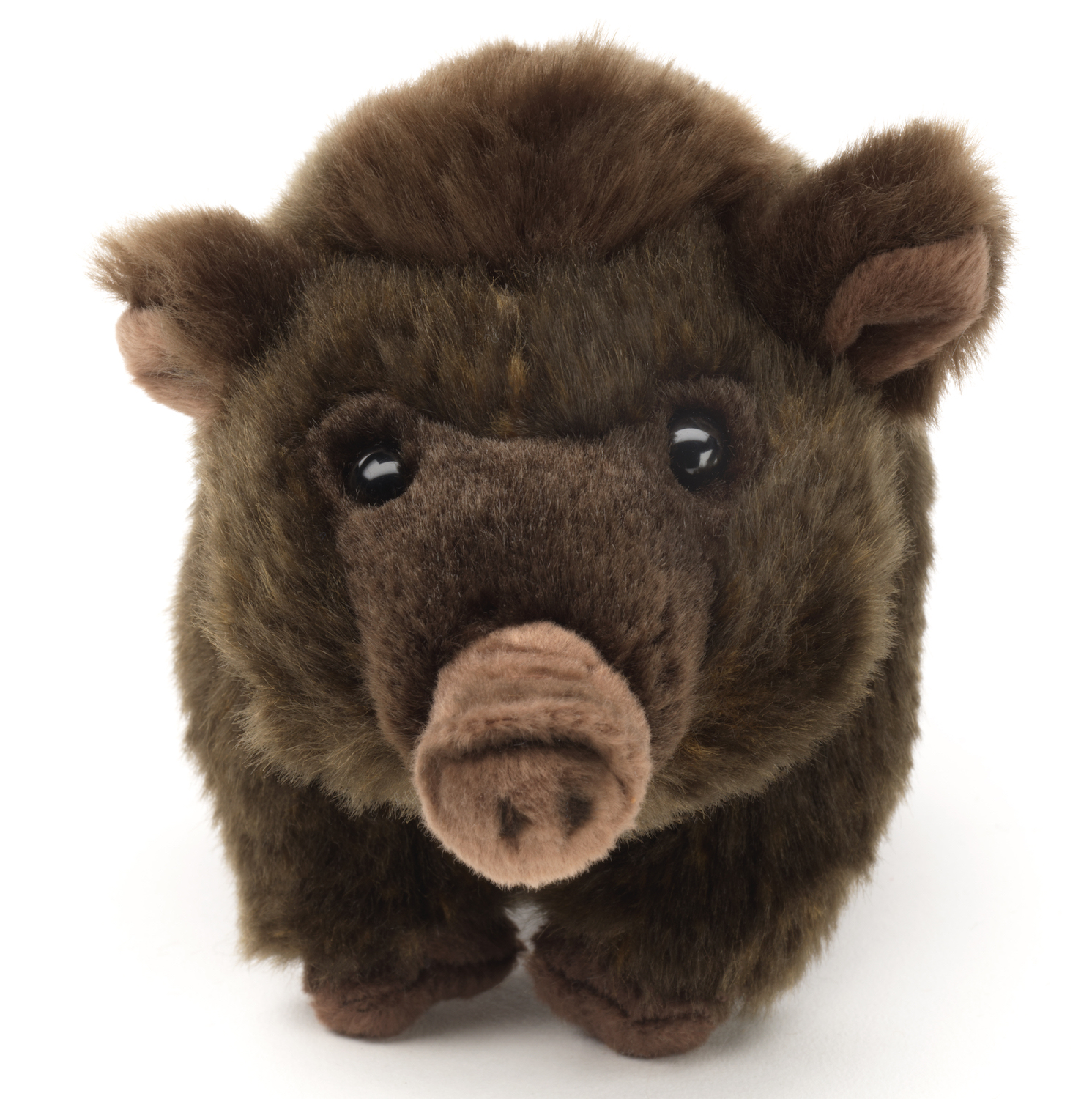 Wildschwein Baby, stehend - 23 cm (Länge) 