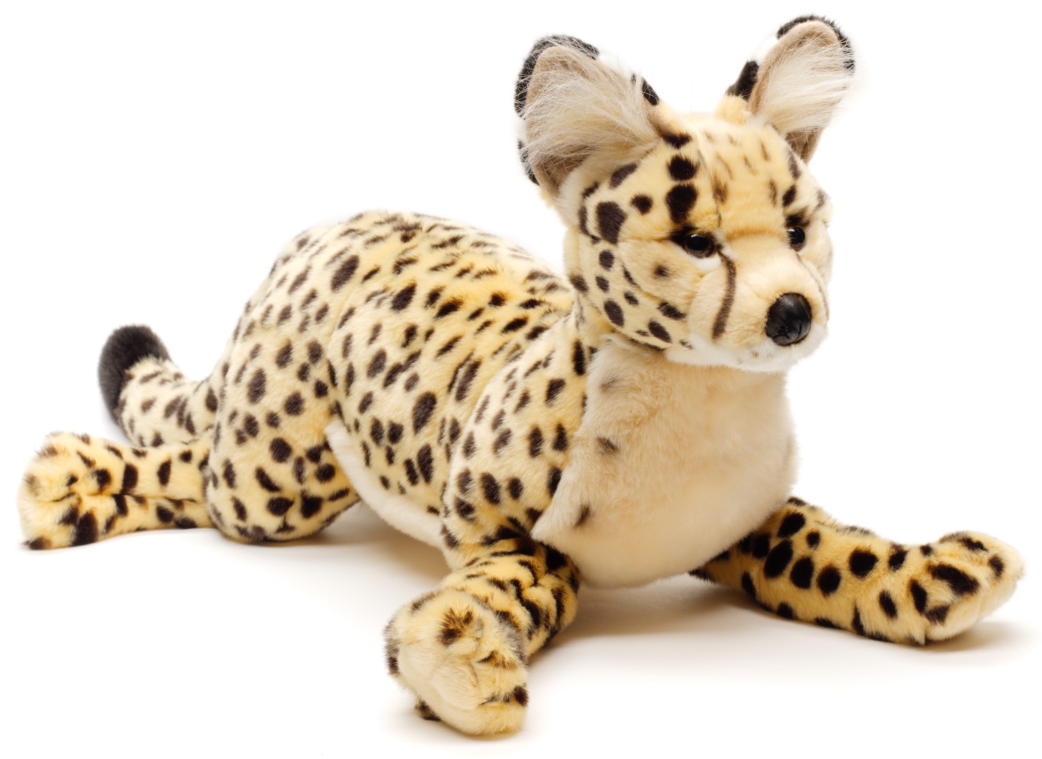  Savannah cat, lying - 60 cm (length)