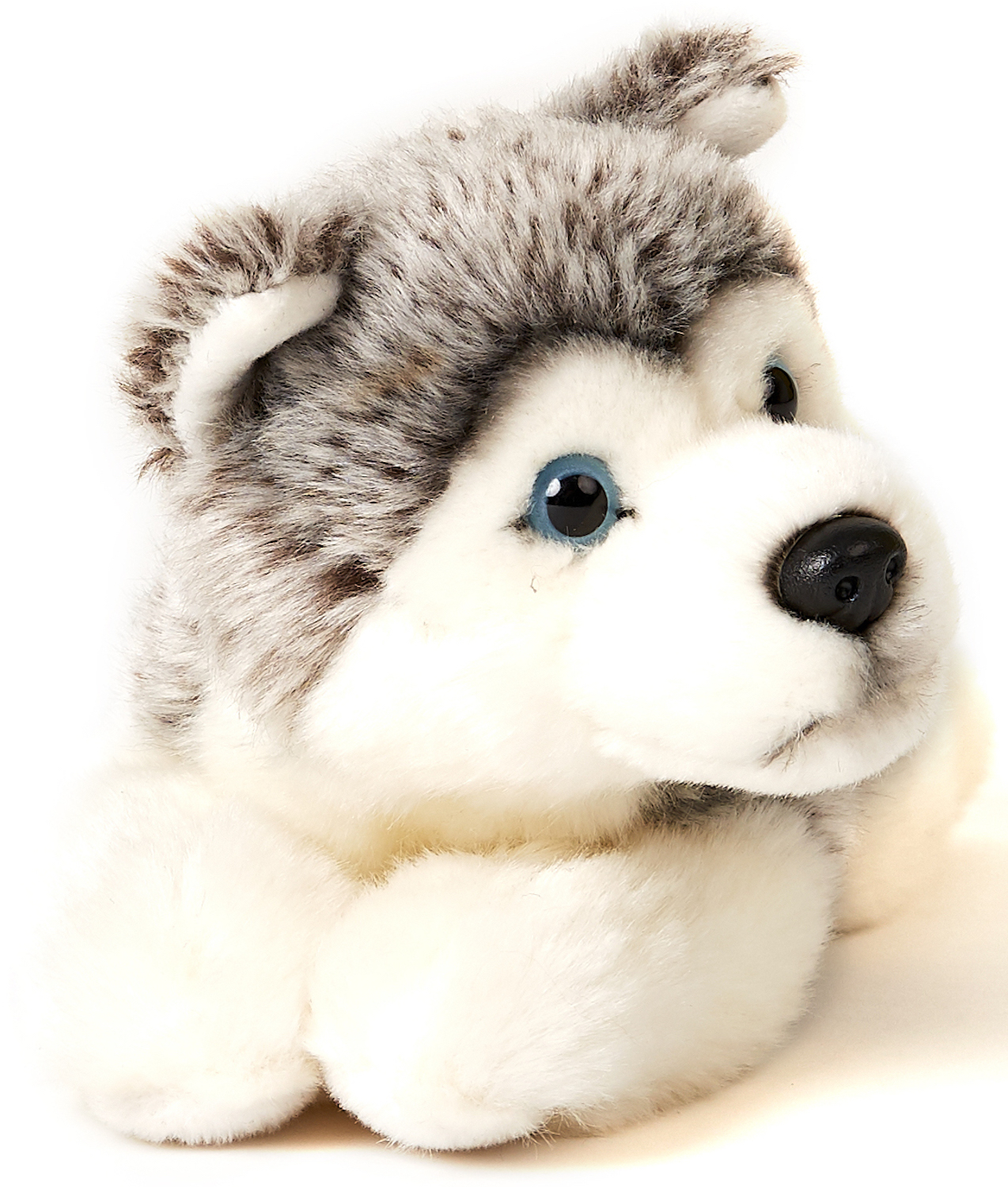 Husky Welpe grau, liegend - 23 cm (Länge) 